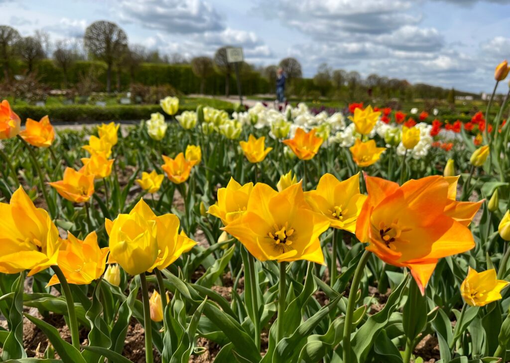 Autors: Rundāles pils muzejs/ Publicitātes foto.