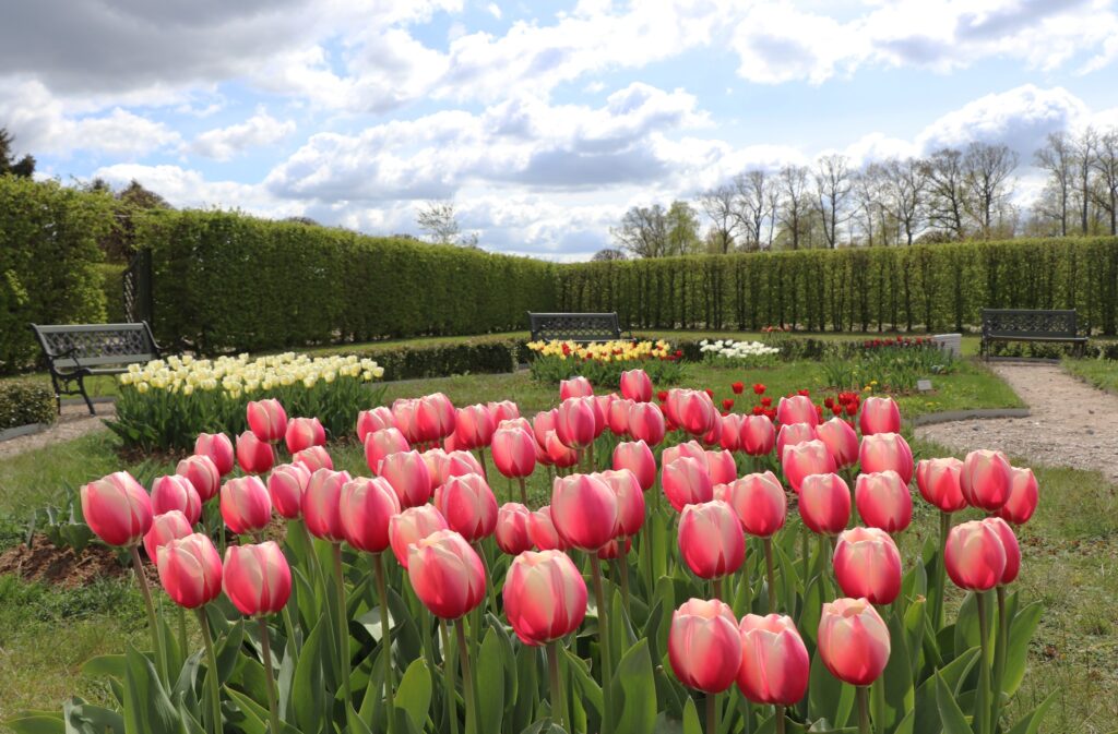 Autors: Publicitātes foto.