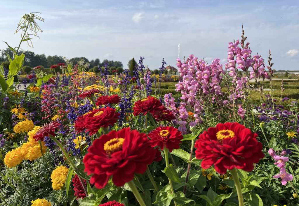 Autors: Rundāles pils muzejs/Publicitātes foto