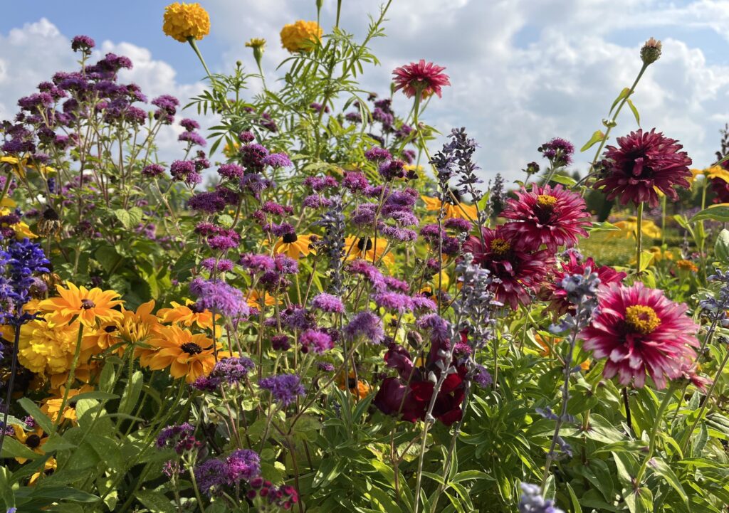 Autors: Rundāles pils muzejs/Publicitātes foto