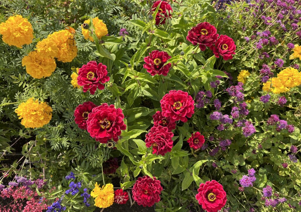 Autors: Rundāles pils muzejs/Publicitātes foto