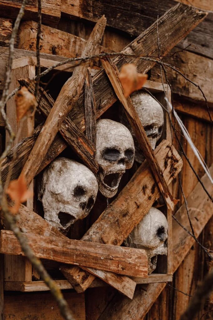 Autors: Publicitātes foto.