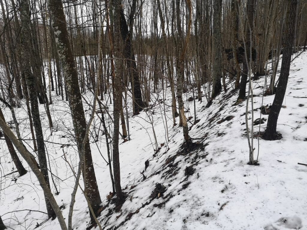 Iespējams, senajā Sīpolu pilskalnu kompleksā ir bijusi daudz lielāka teritorija par šo apaļo pauguru, jo izteikti izceļas arī dažādu vaļņu paliekas tālāk no tā. Tātad bijušas priekšpilis vai kaut kas līdzīgs senpilsētai. 
Autors: Vigo Leitholds, facebook.com
