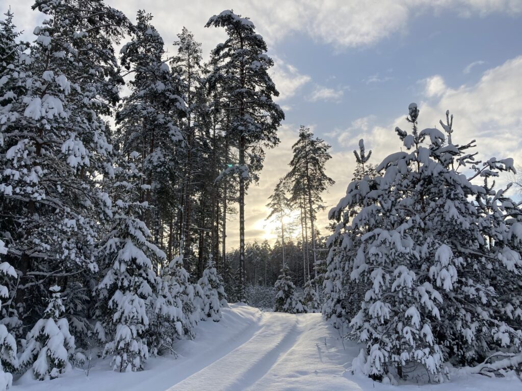 Aluksniesiem.lv raksta attēla aizvietotājs