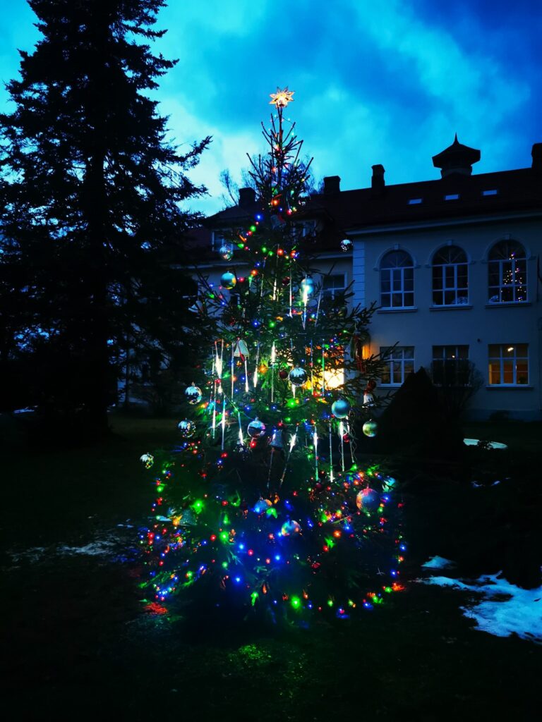 Aluksniesiem.lv raksta attēla aizvietotājs