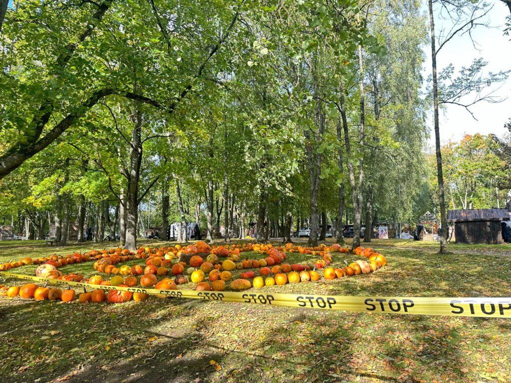 Autors: www.bauskasdzive.lv