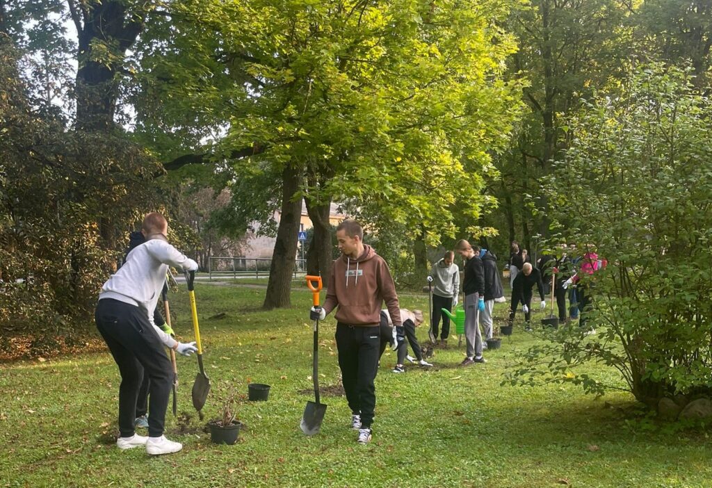 Aluksniesiem.lv raksta attēla aizvietotājs