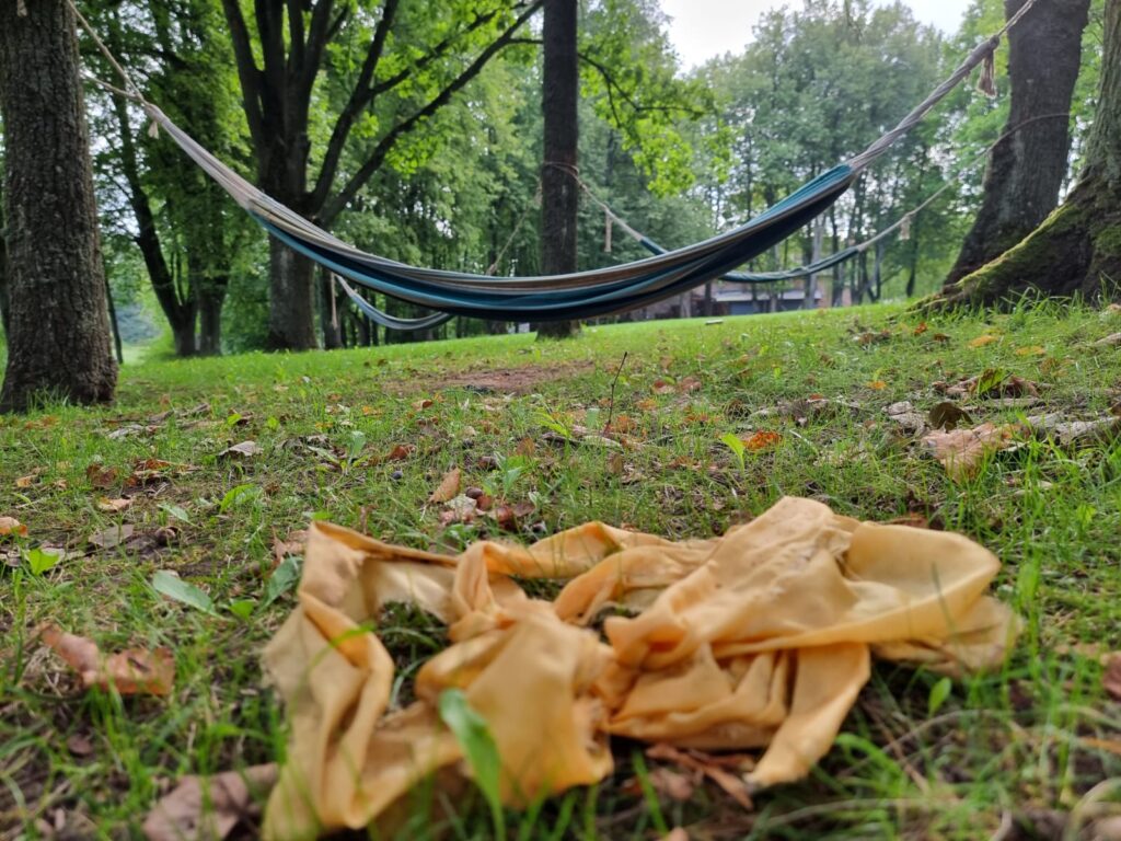 Autors: www.bauskasdzive.lv