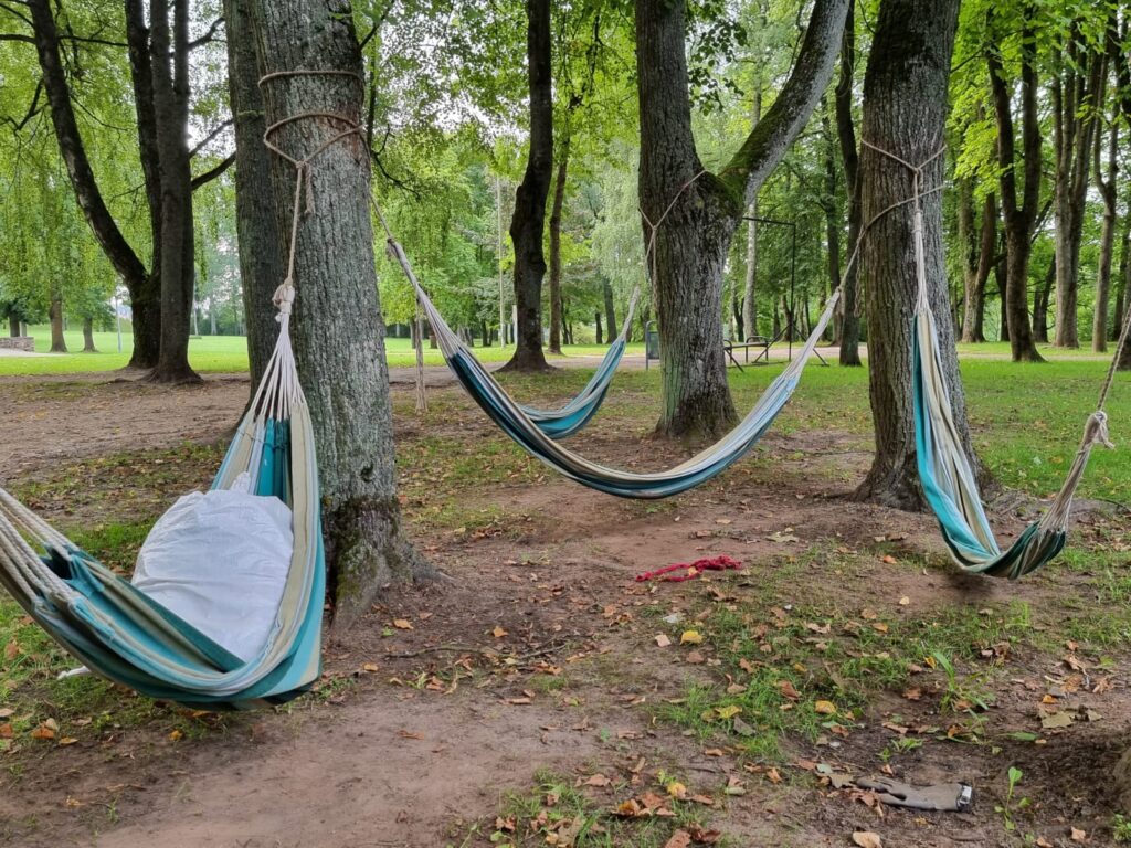 Autors: www.bauskasdzive.lv