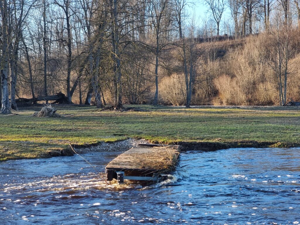 Autors: www.bauskasdzive.lv