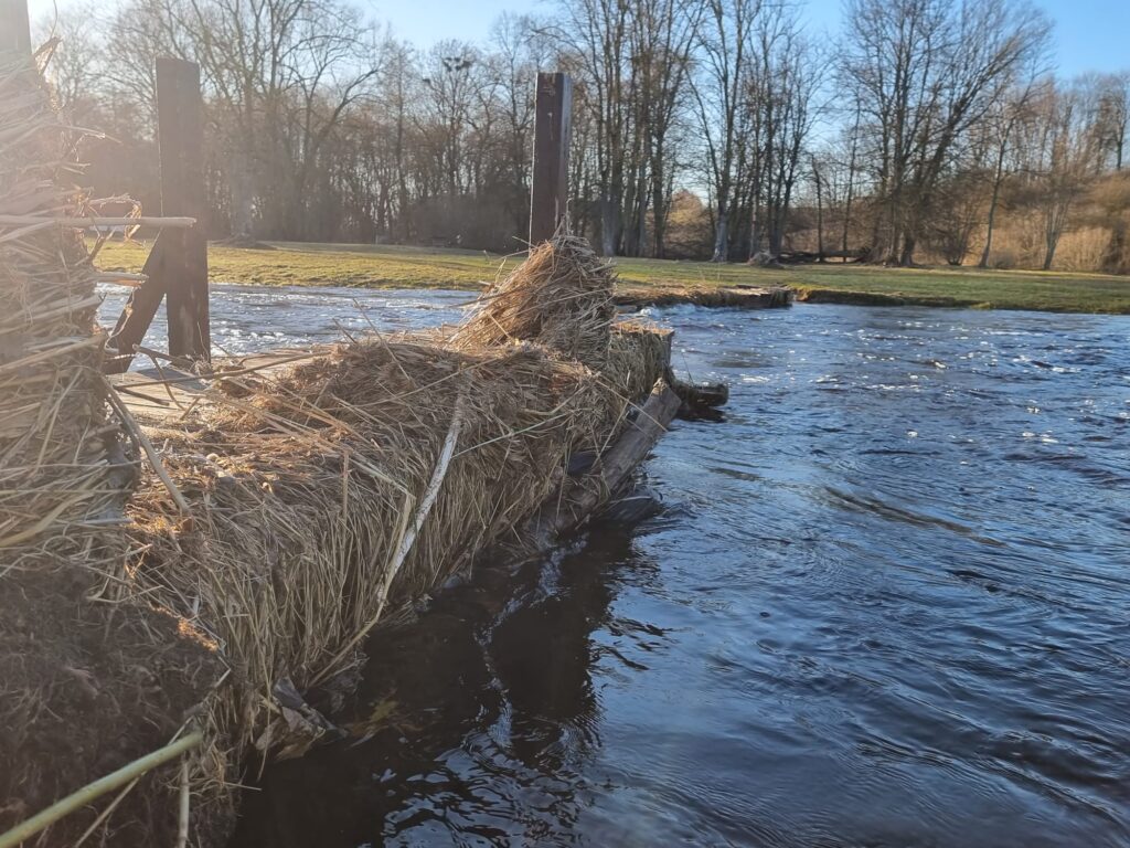 Autors: www.bauskasdzive.lv