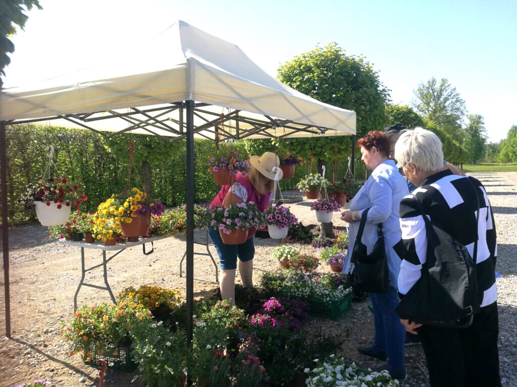 Autors: Kristīne Sēnele