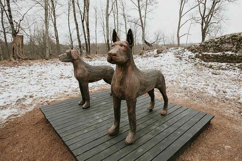 Aluksniesiem.lv raksta attēla aizvietotājs
