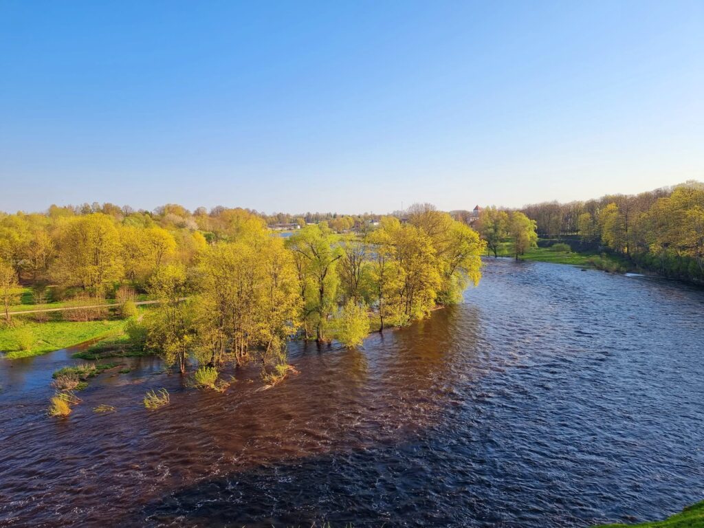 Autors: www.bauskasdzive.lv