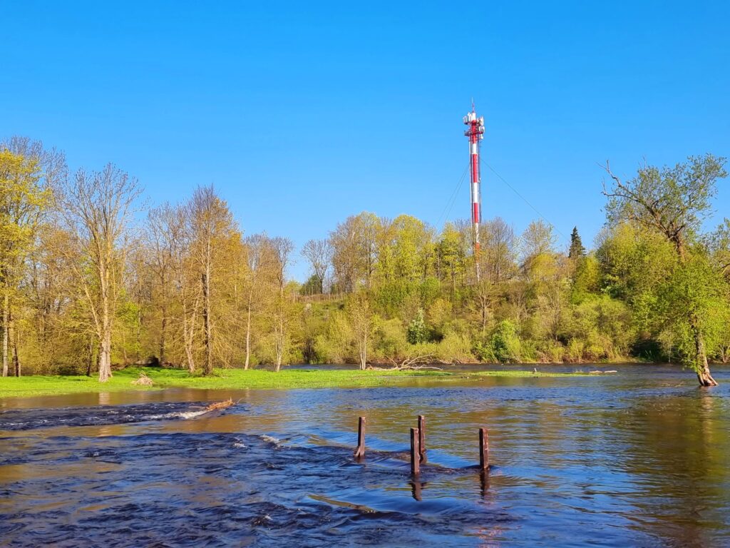 Autors: www.bauskasdzive.lv