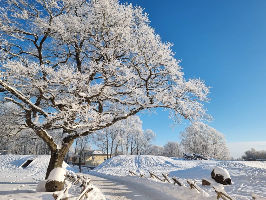 Aluksniesiem.lv raksta attēla aizvietotājs