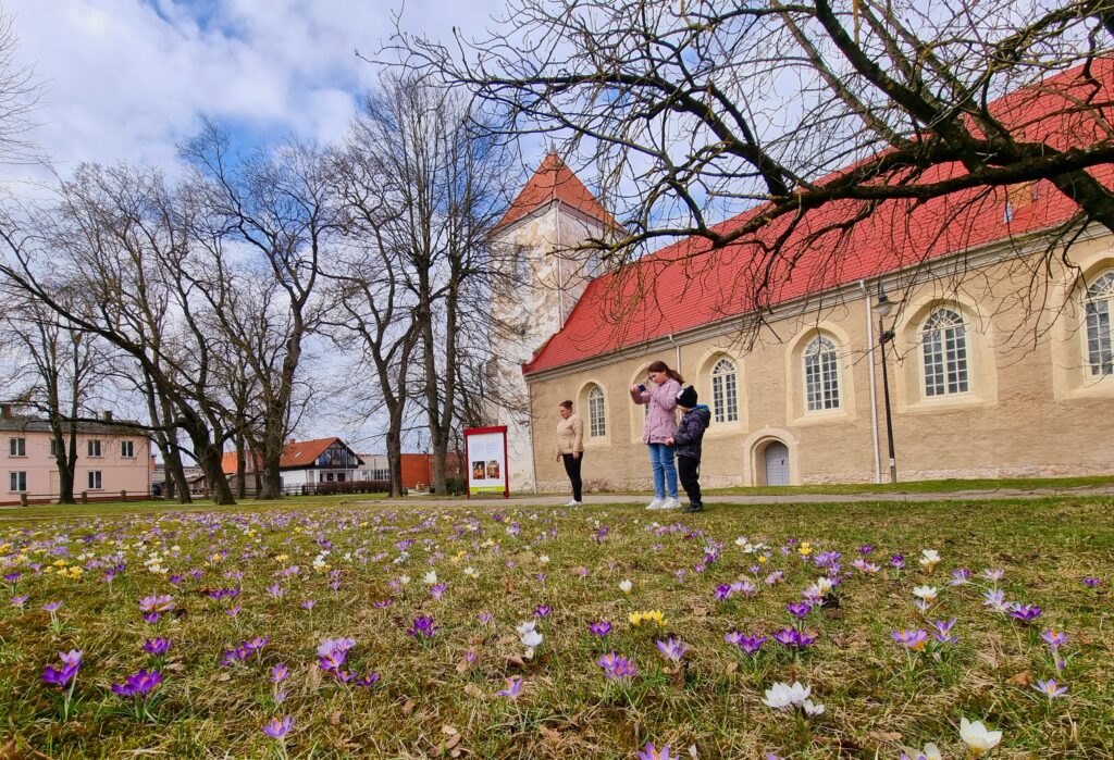 Aluksniesiem.lv raksta attēla aizvietotājs