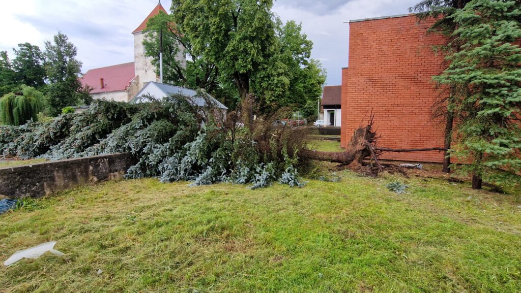 Autors: Vineta Šilberga