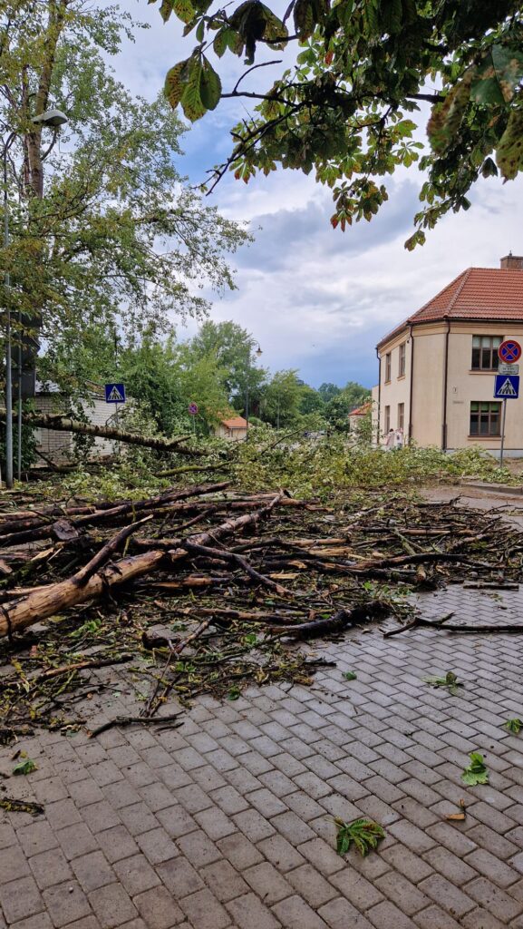 Autors: Vineta Šilberga