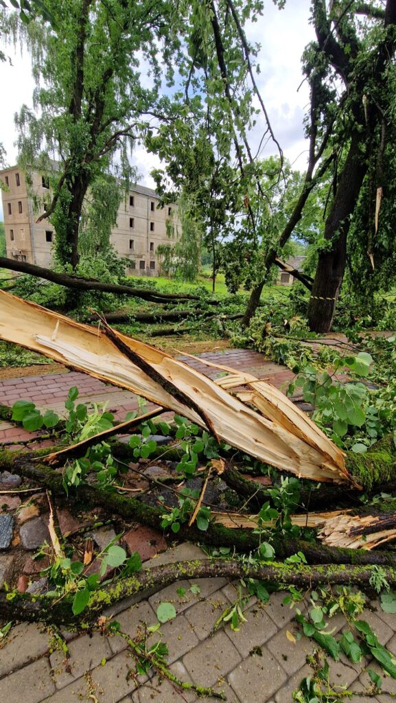 Autors: Vineta Šilberga