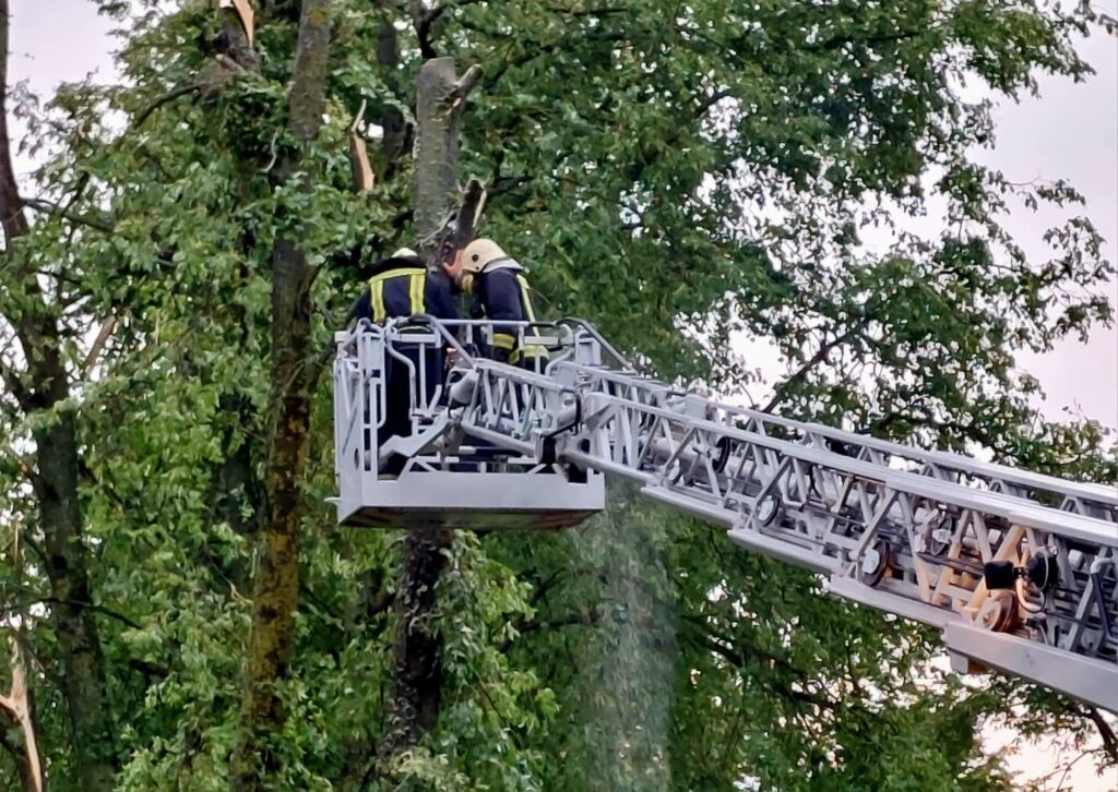 Autors: www.bauskasdzive.lv