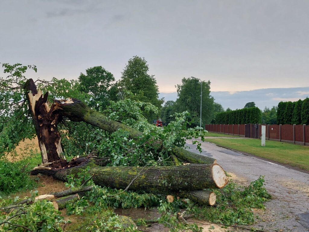 Autors: www.bauskasdzive.lv