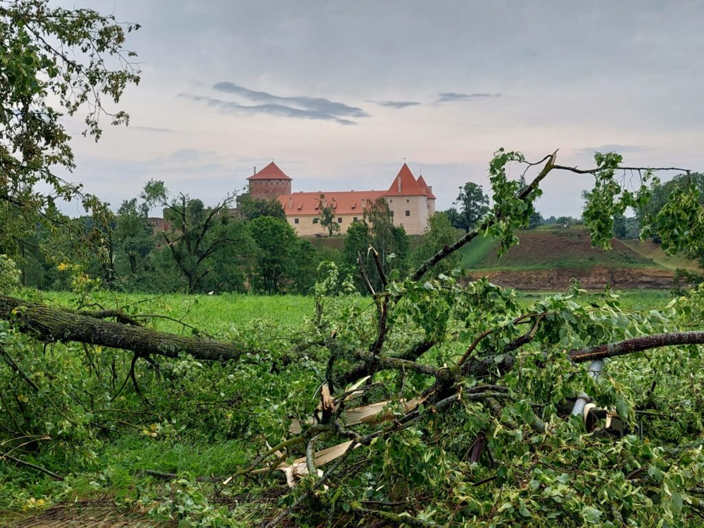 Autors: www.bauskasdzive.lv