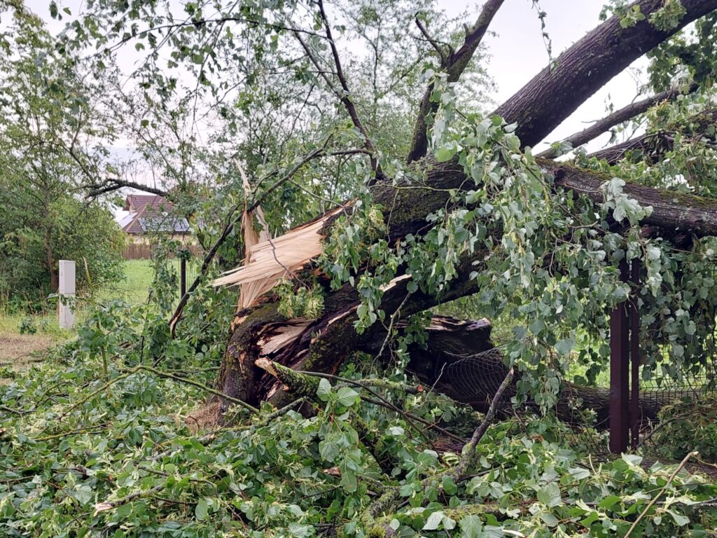 Autors: www.bauskasdzive.lv