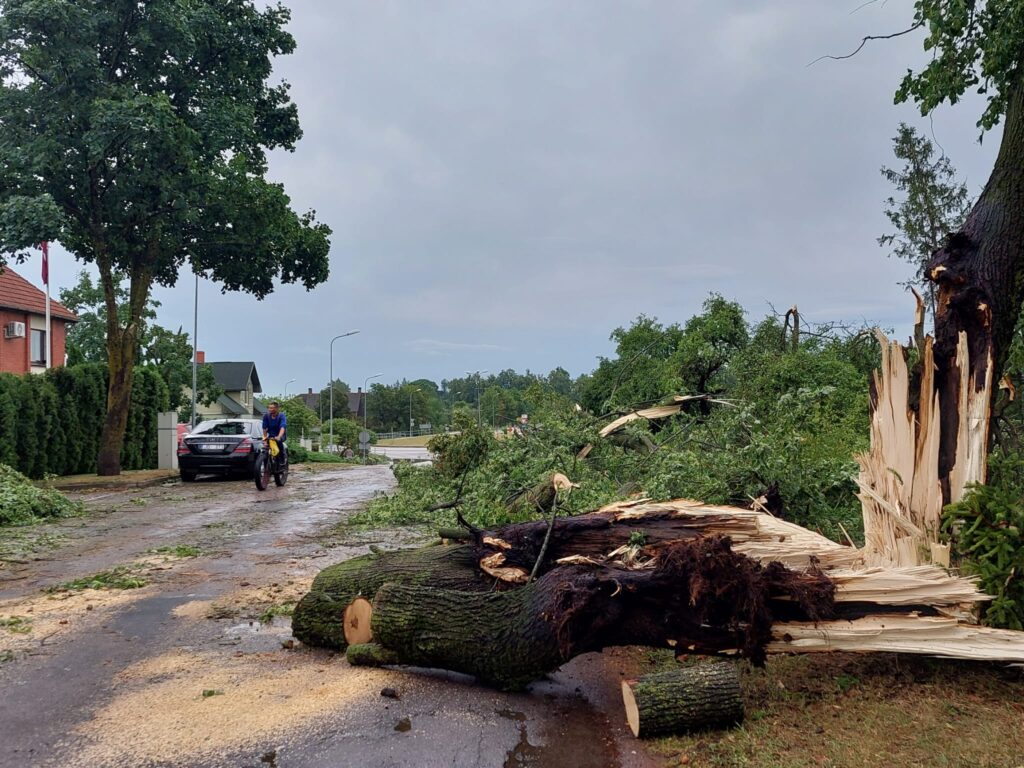 Autors: www.bauskasdzive.lv