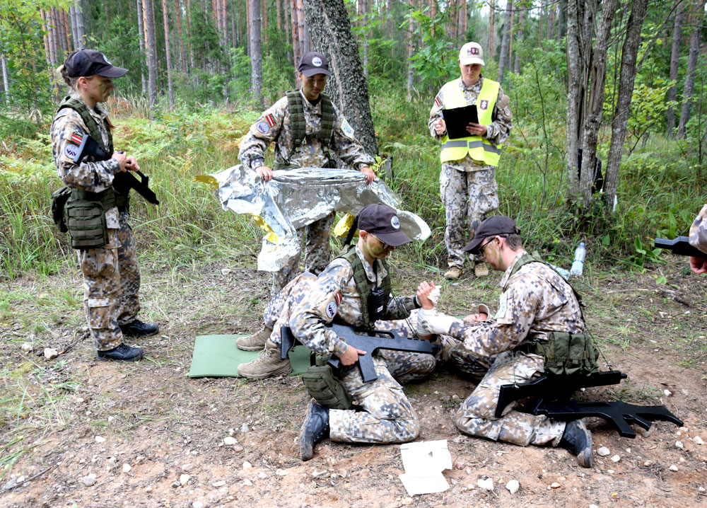 Aluksniesiem.lv raksta attēla aizvietotājs