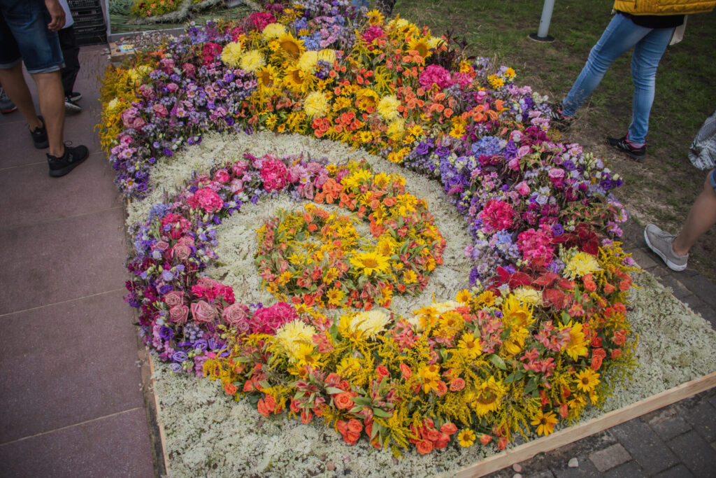 Autors: Elīna Emare