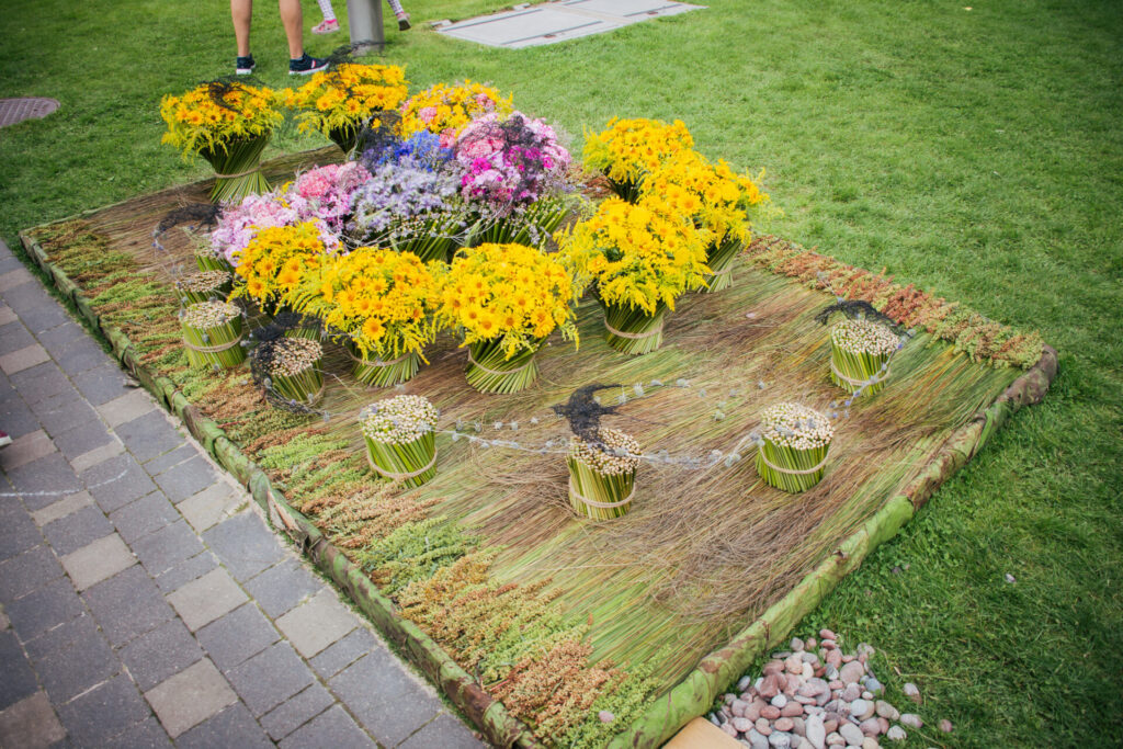 Autors: Elīna Emare