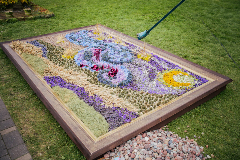 Autors: Elīna Emare