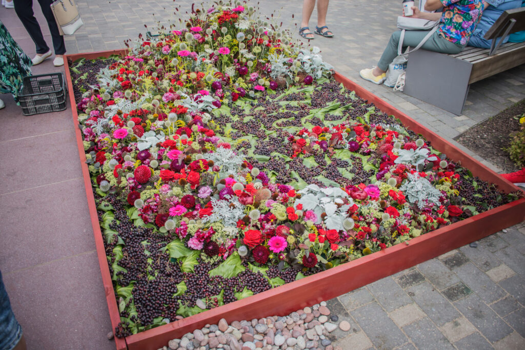 Autors: Elīna Emare