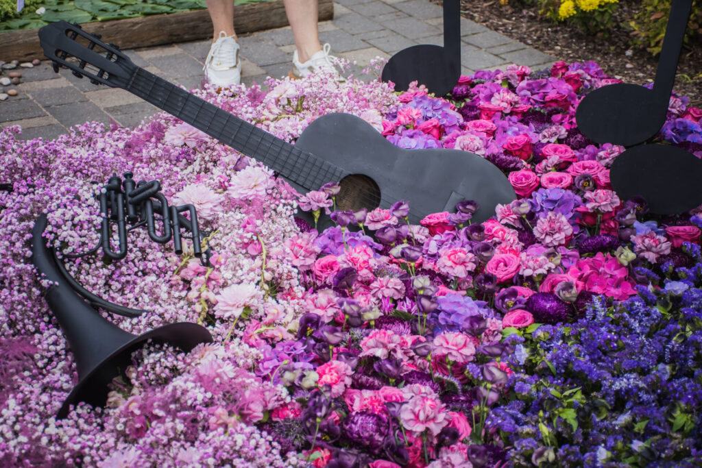 Autors: Elīna Emare