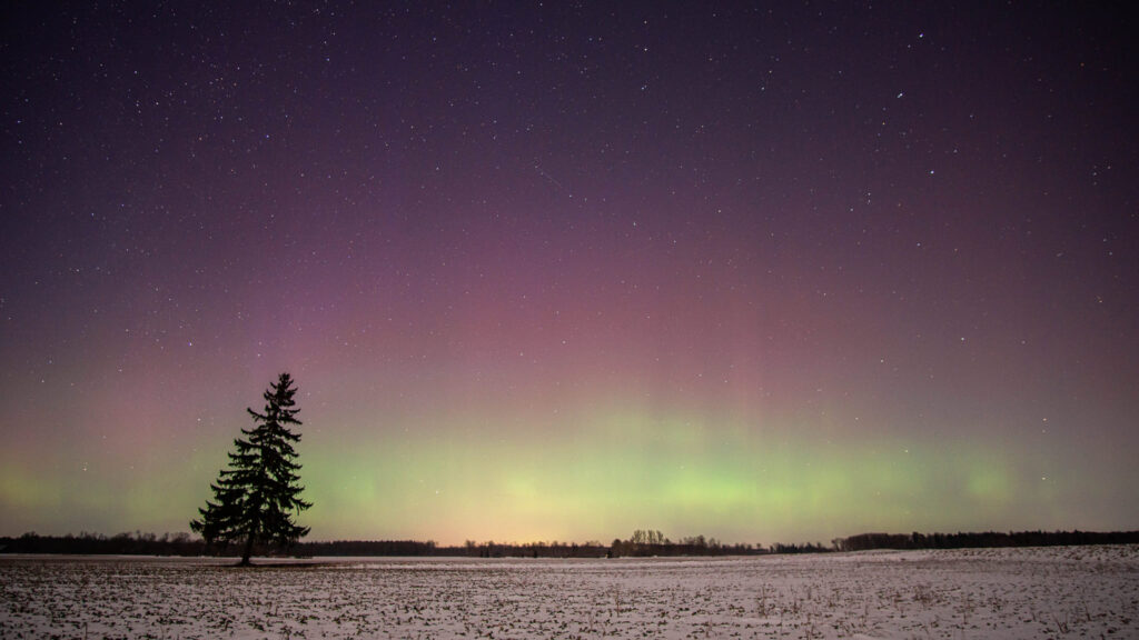 Autors: Foto: Guntars Homičs