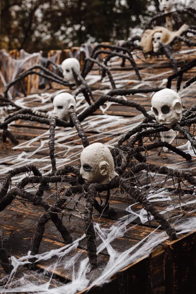 Autors: Publicitātes foto.