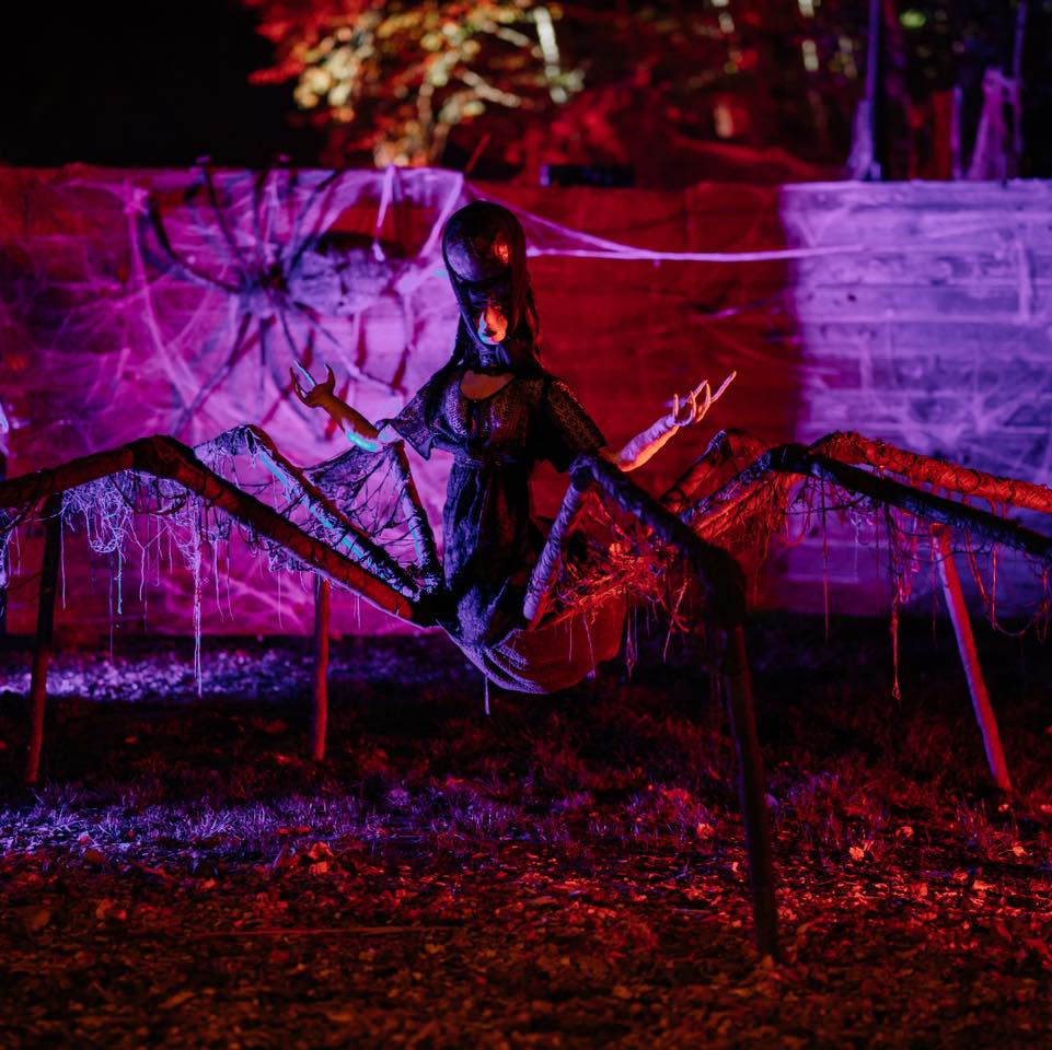 Autors: Publicitātes foto.