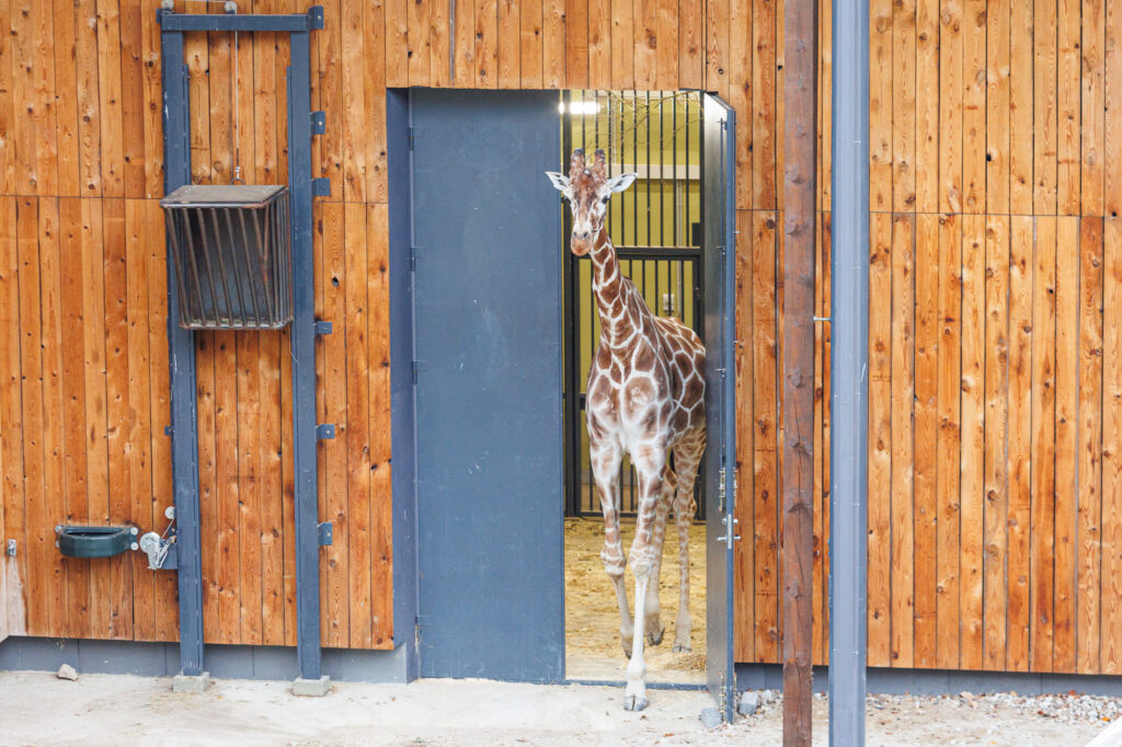 Autors: kaunas.kasvyksta.lt/R.Tenio