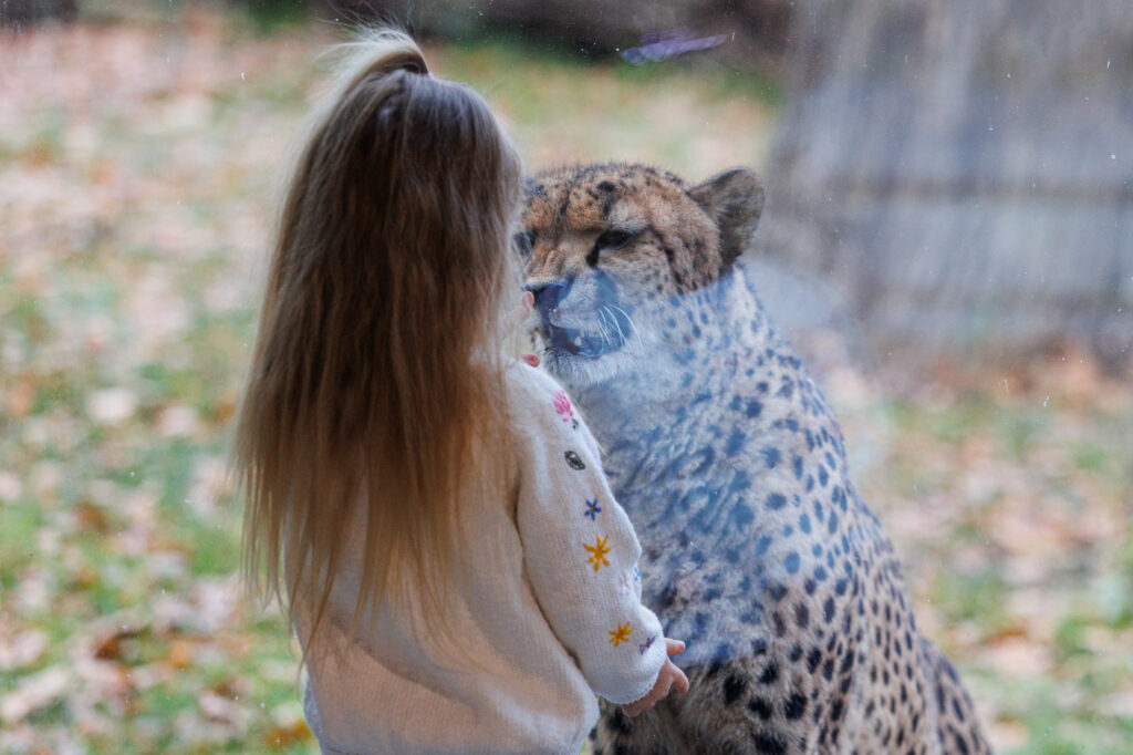 Autors: kaunas.kasvyksta.lt/R.Tenio