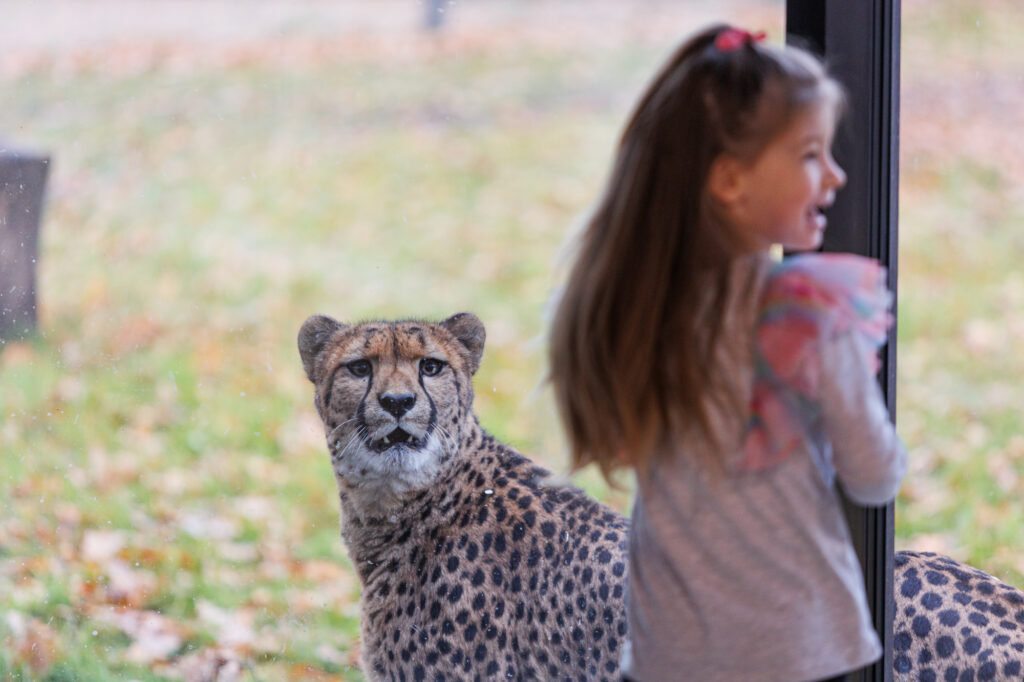 Autors: kaunas.kasvyksta.lt/R.Tenio