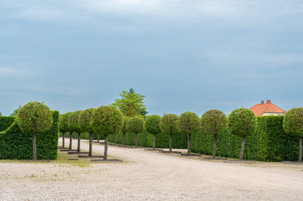 Autors: Dāvis Doršs, Valsts prezidenta kanceleja