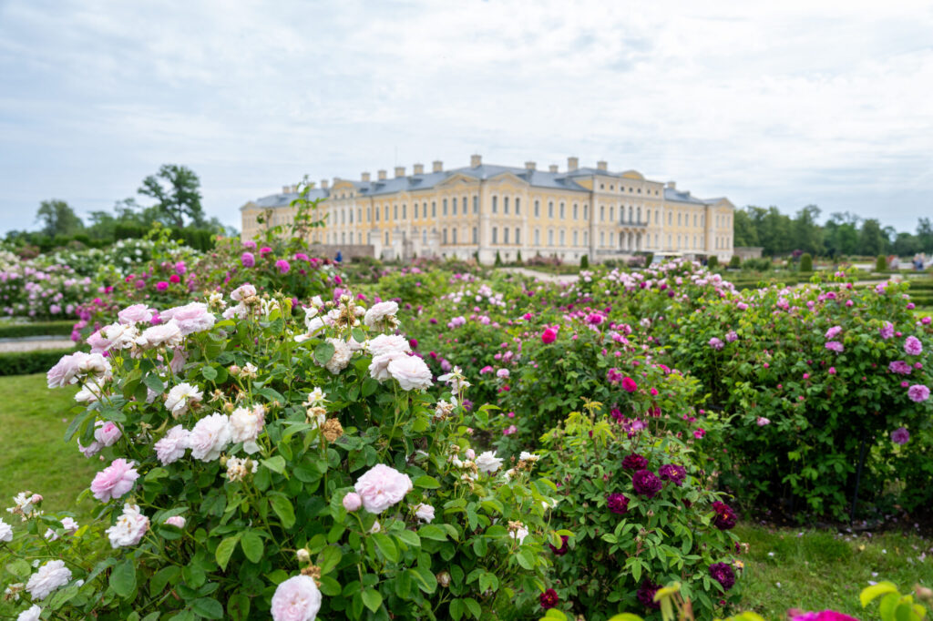 Autors: Dāvis Doršs, Valsts prezidenta kanceleja