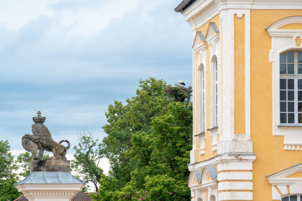 Autors: Dāvis Doršs, Valsts prezidenta kanceleja