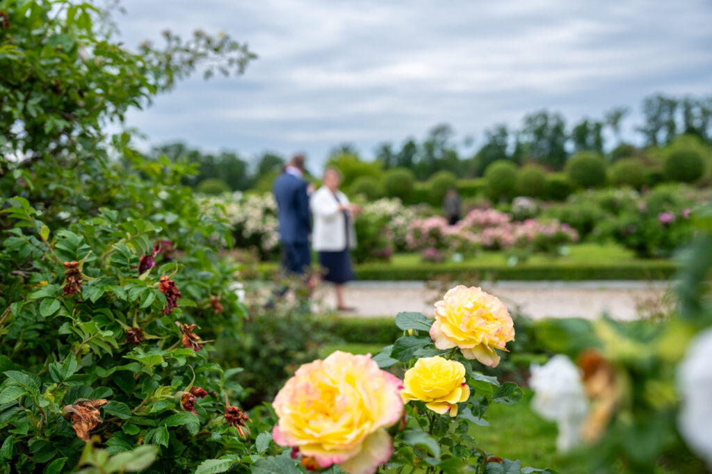 Autors: Dāvis Doršs, Valsts prezidenta kanceleja