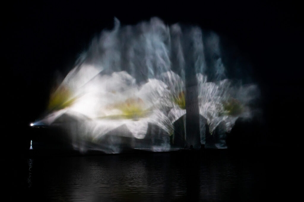 Autors: www.bauskasdzive.lv