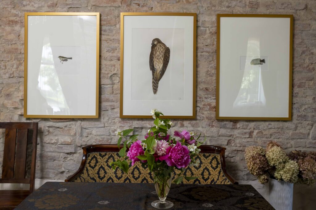 Autors: DIDZIS GRODZS