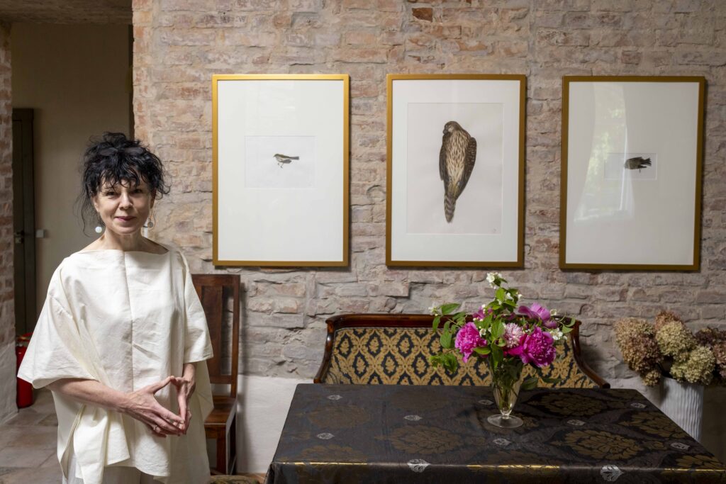 Autors: DIDZIS GRODZS