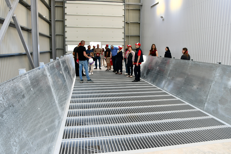 Autors: Ivars Bogdanovs