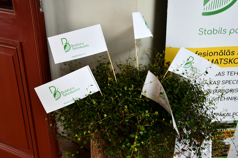 Autors: Ivars Bogdanovs